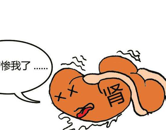 肌酸怎么吃？肌酸服用劑量怎么算？(圖4)