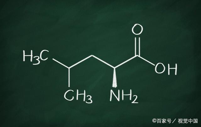支鏈氨基酸到底有用么？bcaa沒(méi)用？(圖7)